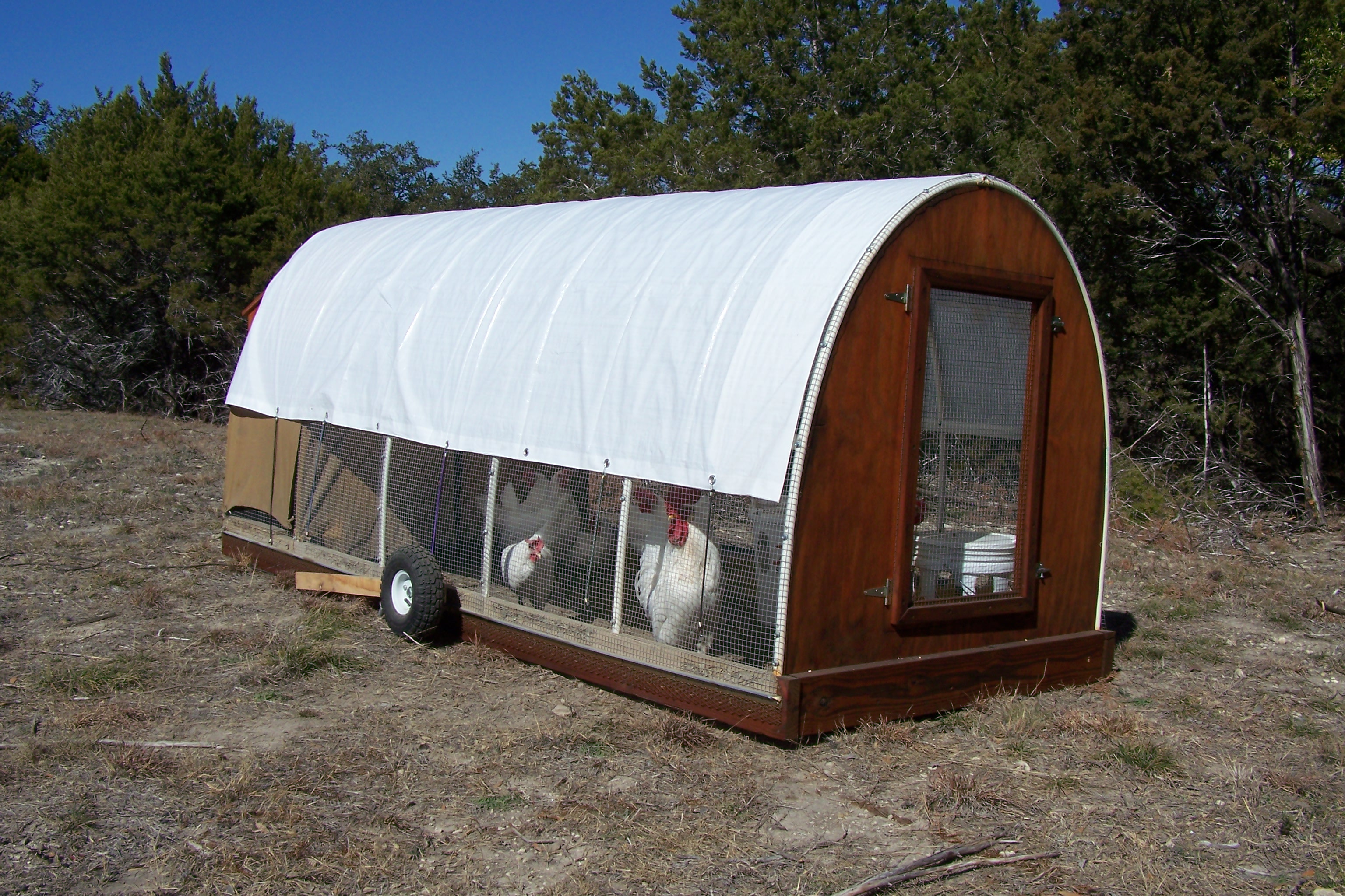 A Beautiful Mobile Chicken Tractor in Luling, TX
